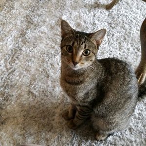 Meet your Posher, Kelly